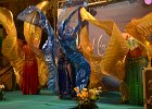 DSC 0108
